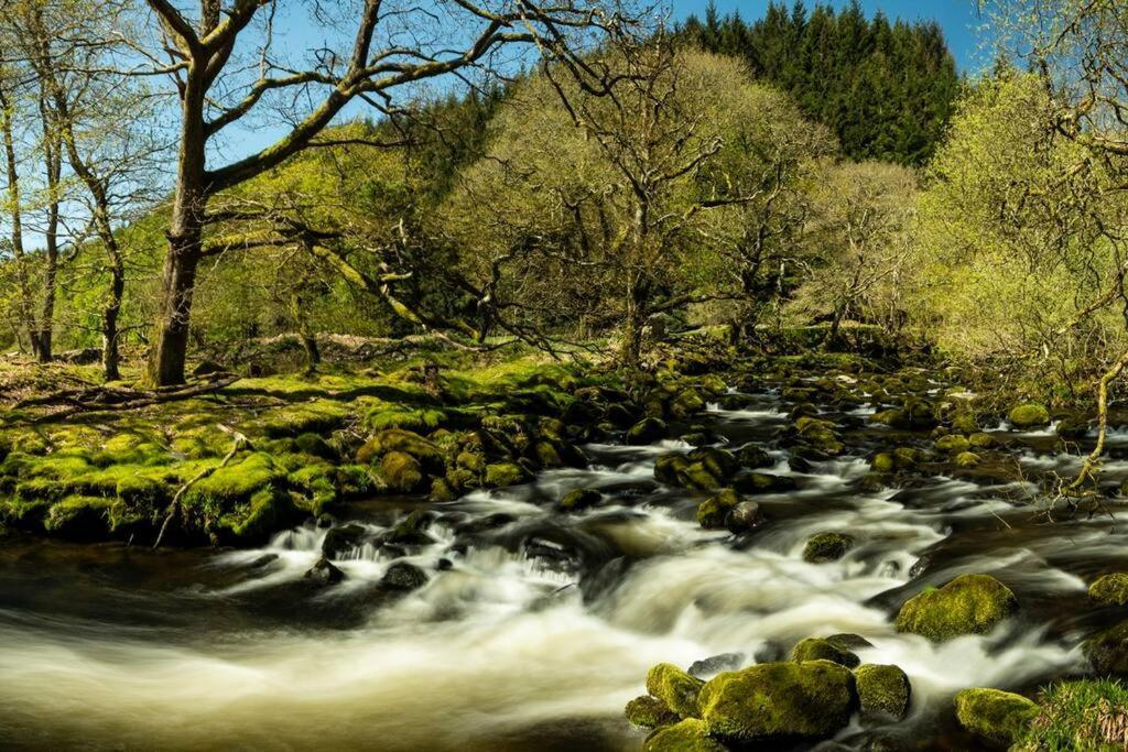 Charming Riverside Cottage In Snowdonia National Park Tanygrisiau Luaran gambar