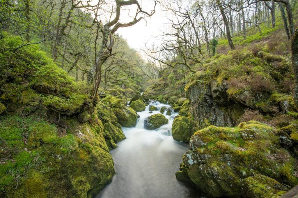 Charming Riverside Cottage In Snowdonia National Park Tanygrisiau Luaran gambar